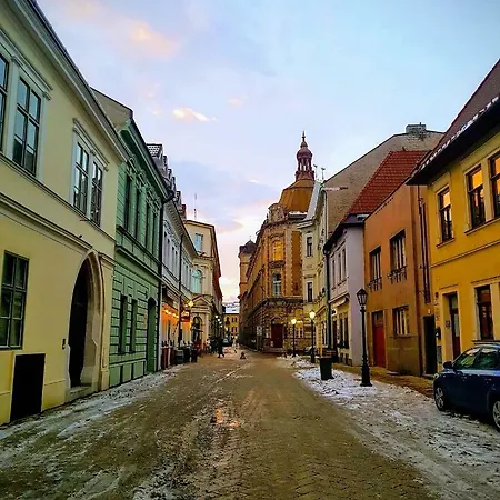 Old Town Vintage Sturova *