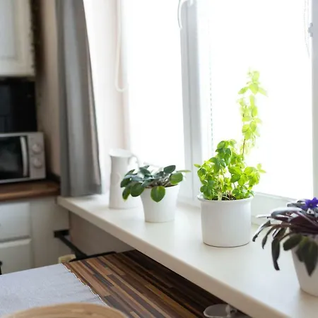 Old Town Vintage Sturova