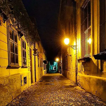 Old Town Vintage Sturova *